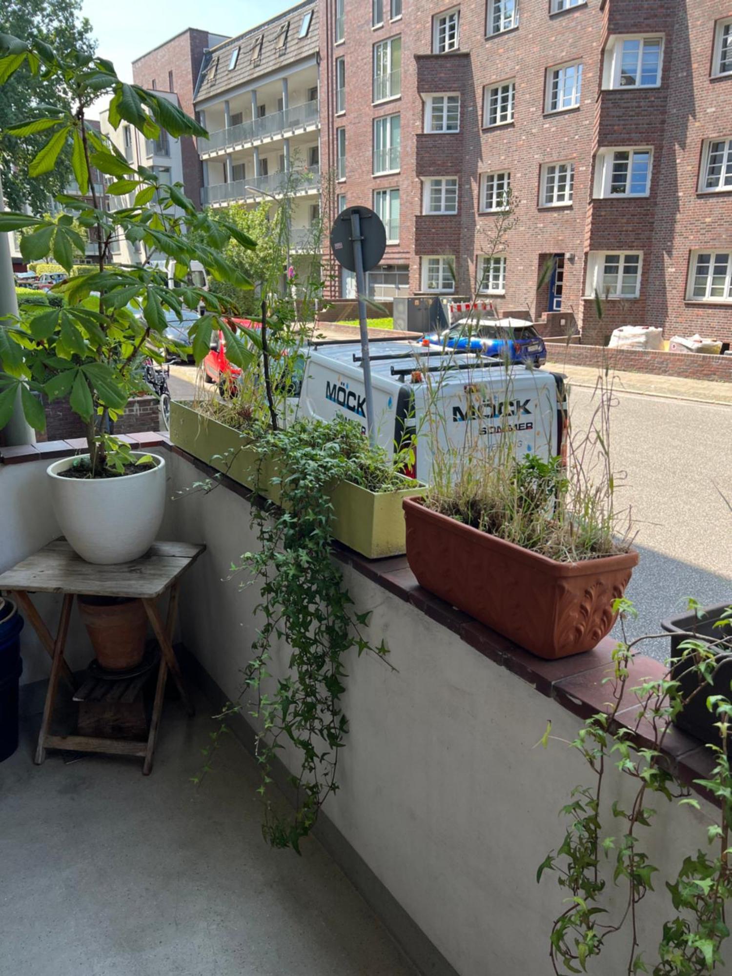 Privatunterkunft Zwischen Stadtpark Und Alsterlauf Budget *